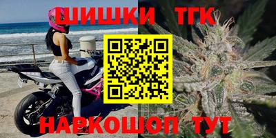 мдпв Долгопрудный