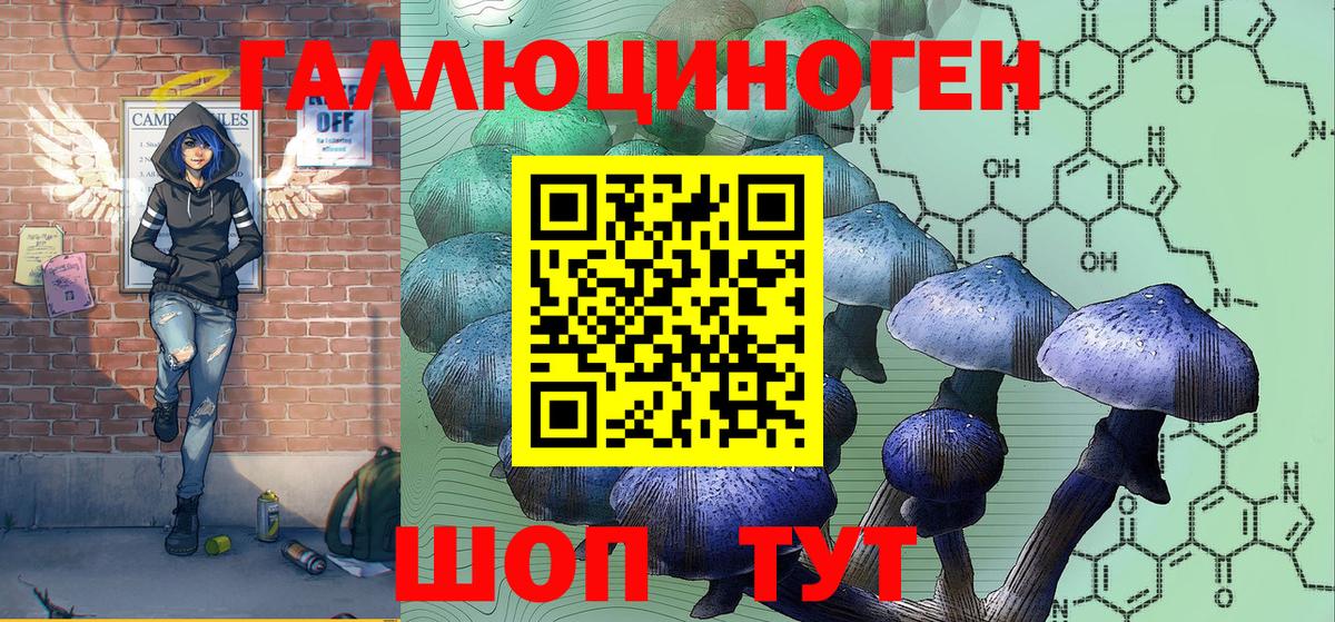 Галлюциногенные грибы GOLDEN TEACHER Каменск-Шахтинский