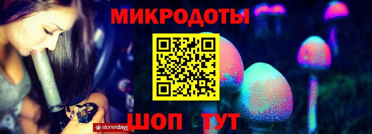 Каменск-Шахтинский  Галлюциногенные грибы Psilocybe  Вход с VPN  Галлюциногенные грибы прущие грибы 